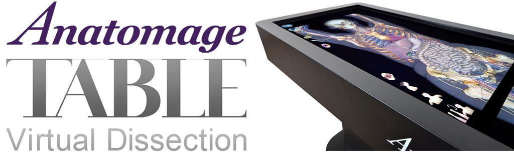 Table-Header