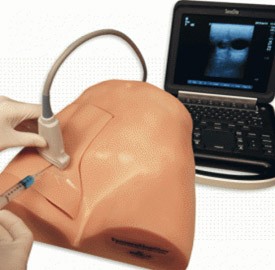 simul53-738301c1f3